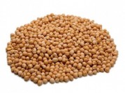 GARBANZO PEDROSILLANO
